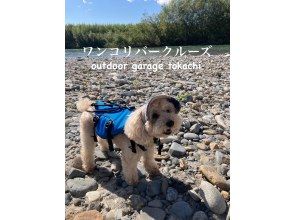 プランの魅力 ワンコも満足！！　 の画像