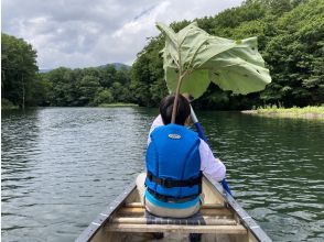 プランの魅力 在炎熱的夏天撐著陽傘劃獨木舟 の画像