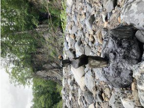 プランの魅力  の画像