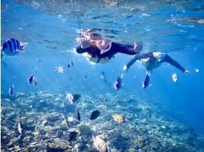 プランの魅力 魚がいっぱい！ の画像