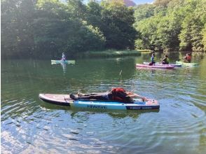 プランの魅力 Enjoy freestyle! の画像