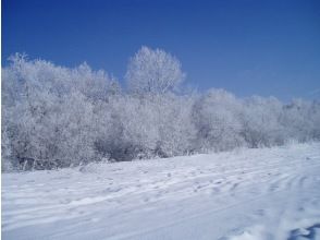 プランの魅力  の画像