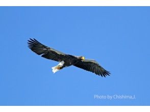 プランの魅力 冬鳥たちとの出会い の画像