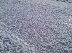 プランの魅力  の画像