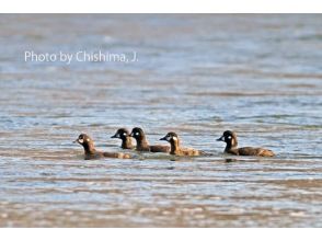 プランの魅力  の画像