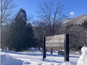 プランの魅力 国立公園の日高山脈の自然豊かな節減と川岸をスノーハイク の画像