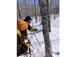 プランの魅力 Interpretation of sustainable fields through nature observation in the forest の画像