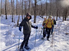プランの魅力  の画像