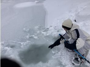 プランの魅力  の画像