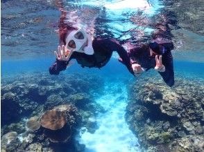 プランの魅力 水中写真・ドローン撮影などツアー中に撮ったお写真は全てプレゼント！ の画像