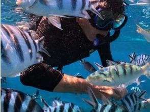 プランの魅力 大興奮の餌付け体験！ の画像