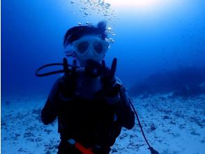 プランの魅力 お1人様大歓迎！ の画像