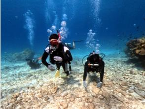 プランの魅力 透明度の高さで楽しさ倍増！ の画像