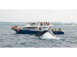 プランの魅力 Sometimes so close! の画像