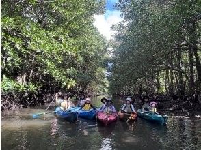 プランの魅力 Mangrove kayak の画像