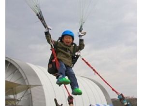 プランの魅力 Content tailored to children and seniors の画像