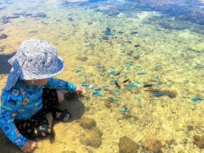 プランの魅力 お魚と遊んでみたり の画像