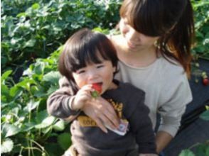 プランの魅力 あま～いイチゴを食べ放題 の画像