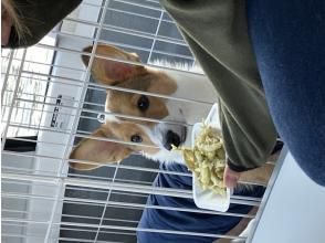 プランの魅力 You can eat smelt on a boat! の画像