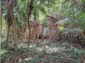 プランの魅力 フィールド の画像