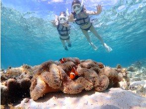 プランの魅力 카쿠레쿠마노미를 만날 수 있다★ の画像