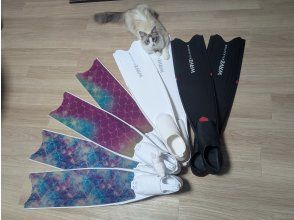 プランの魅力 レンタル備品 の画像