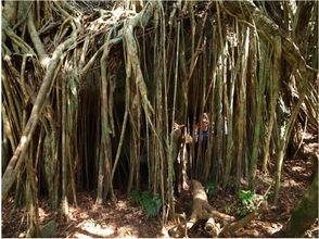 プランの魅力 ยังเล่นตามสถานที่ の画像