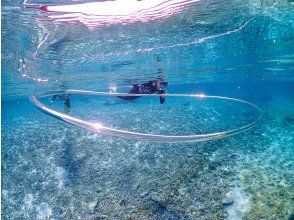 プランの魅力 The underwater Miyako blue that can only be seen here の画像