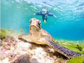 プランの魅力 A treasure chest of nature seen through a snorkel の画像