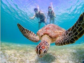 プランの魅力 Take a photo that looks like an advertisement! の画像