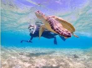 プランの魅力 The first step to jump into the "extraordinary" world is here の画像