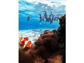 プランの魅力 The true color of Miyakojima that cannot be conveyed through photographs の画像