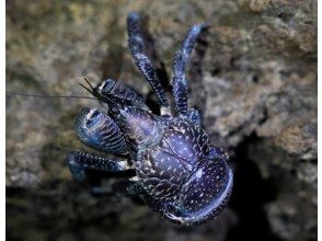 プランの魅力 隙間時間にサクッと探索☆ の画像