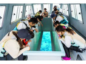 プランの魅力  の画像