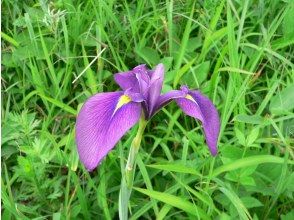 プランの魅力  の画像