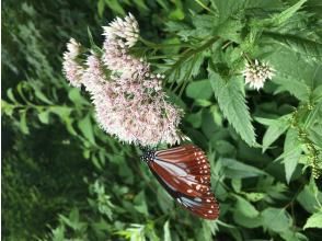 プランの魅力  の画像