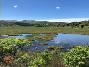 プランの魅力 レンゲツツジと八島ヶ池 の画像