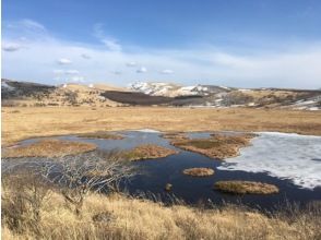 プランの魅力 八島湿原 の画像