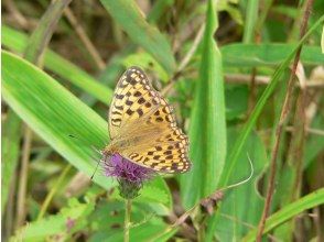 プランの魅力  の画像