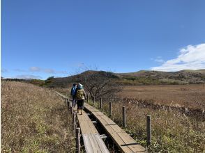プランの魅力 八島湿原の周回コース の画像