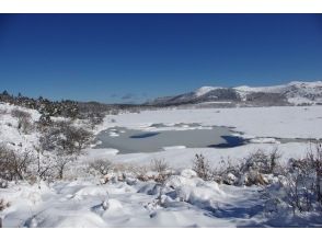 プランの魅力 雪と氷の八島湿原 の画像
