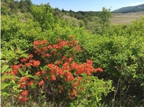 プランの魅力  の画像