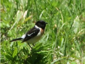 プランの魅力  の画像