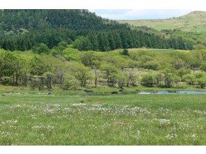 プランの魅力  の画像