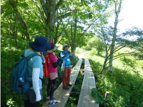 プランの魅力 専門ガイドがご案内 の画像