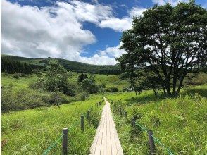 プランの魅力 八島湿原の周回コース の画像