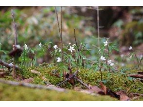 プランの魅力  の画像