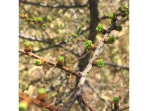 プランの魅力  の画像