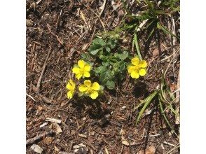 プランの魅力  の画像