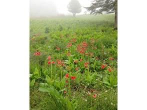 プランの魅力  の画像